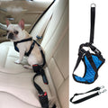 Comfortable Massage Car Pet Grooming Brush