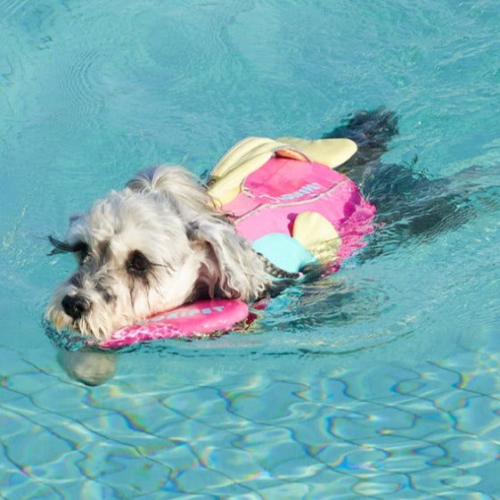 Dog Large Buoyancy Life Vest Pet