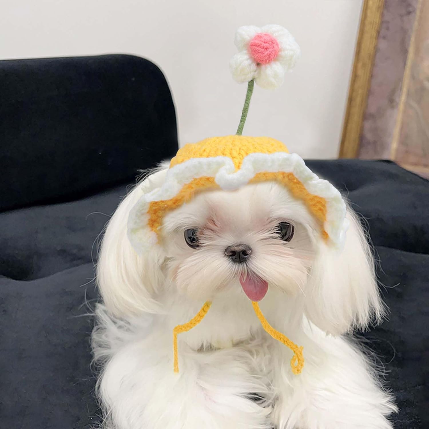 Cute Knit Cat Hat Funny Dog