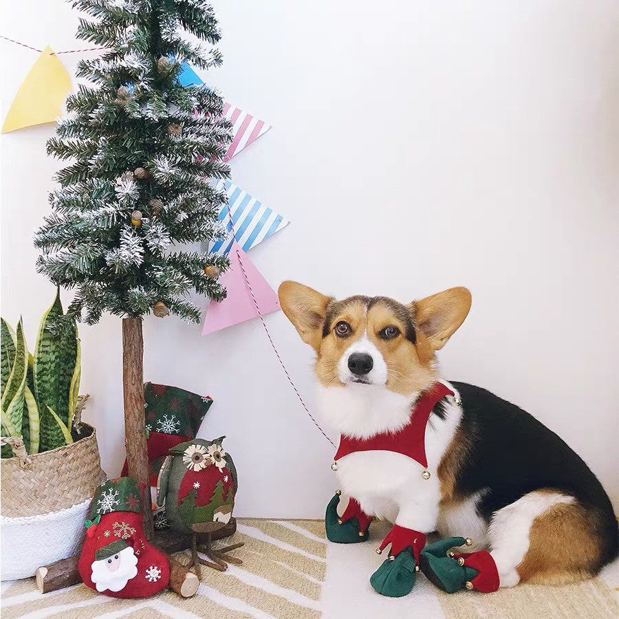 https://cf.cjdropshipping.com/20200911/860617403805.jpg