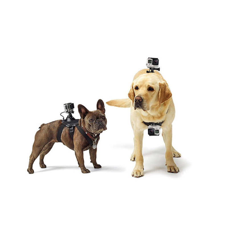 Sports Camera Photography Pet Travel Carrier