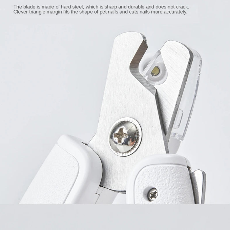 https://cf.cjdropshipping.com/8f31c309-873f-432a-836e-d97a379bfa79.jpg