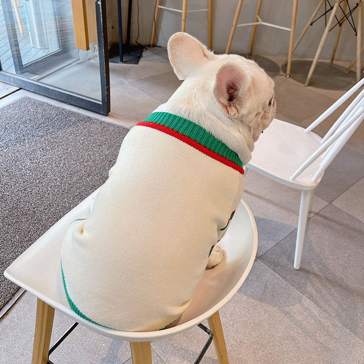 Bichon Schnauzer Cat Dog Winter Pet