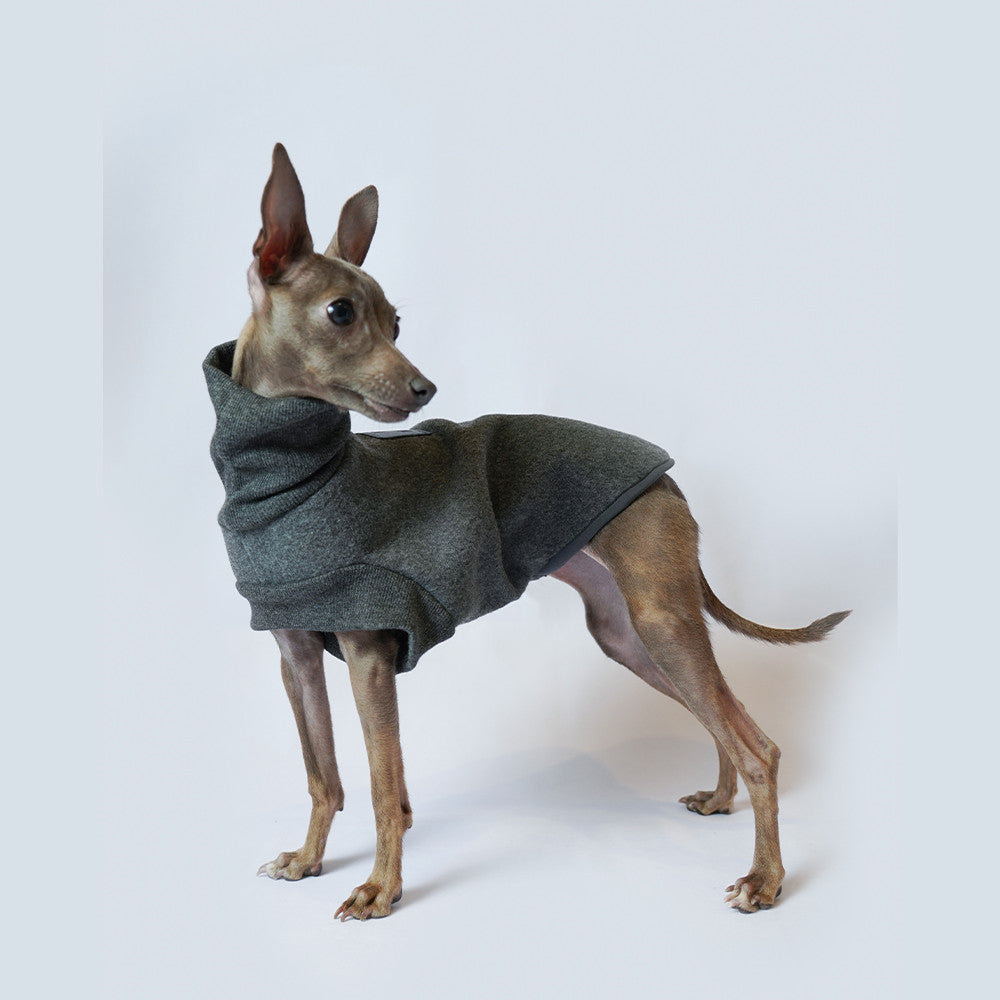 Dog Coat Autumn Winter Thickened Windproof