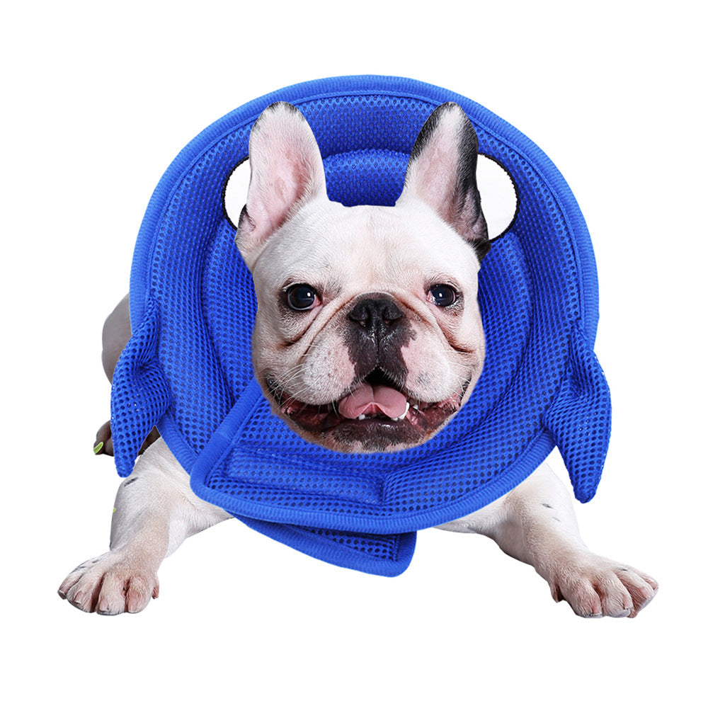 Pet Collar Cartoon Dog Cleaner Guard