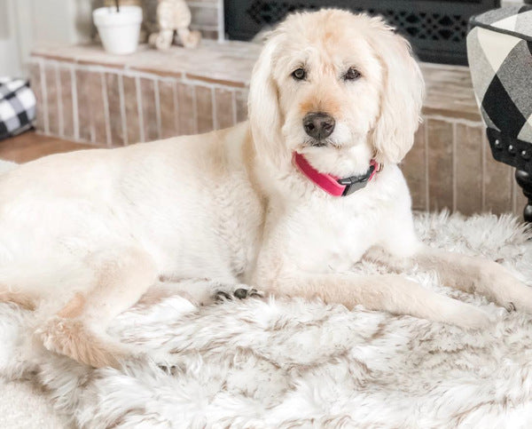 Pet Dog Plush Mat Beige Rest