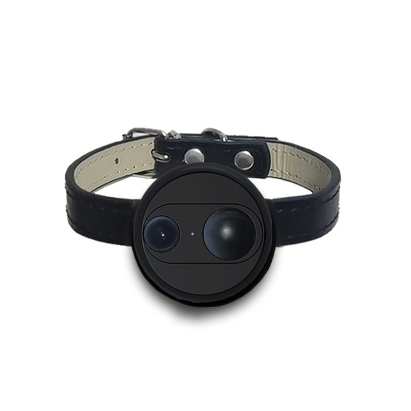 View Camera Recorder Adjustable Pet Collar