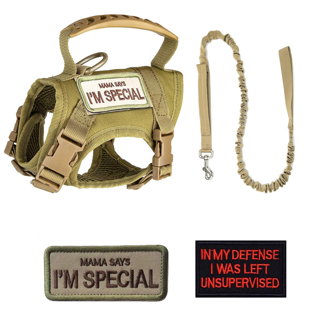 Anti-Breakaway Pet Traction Leash