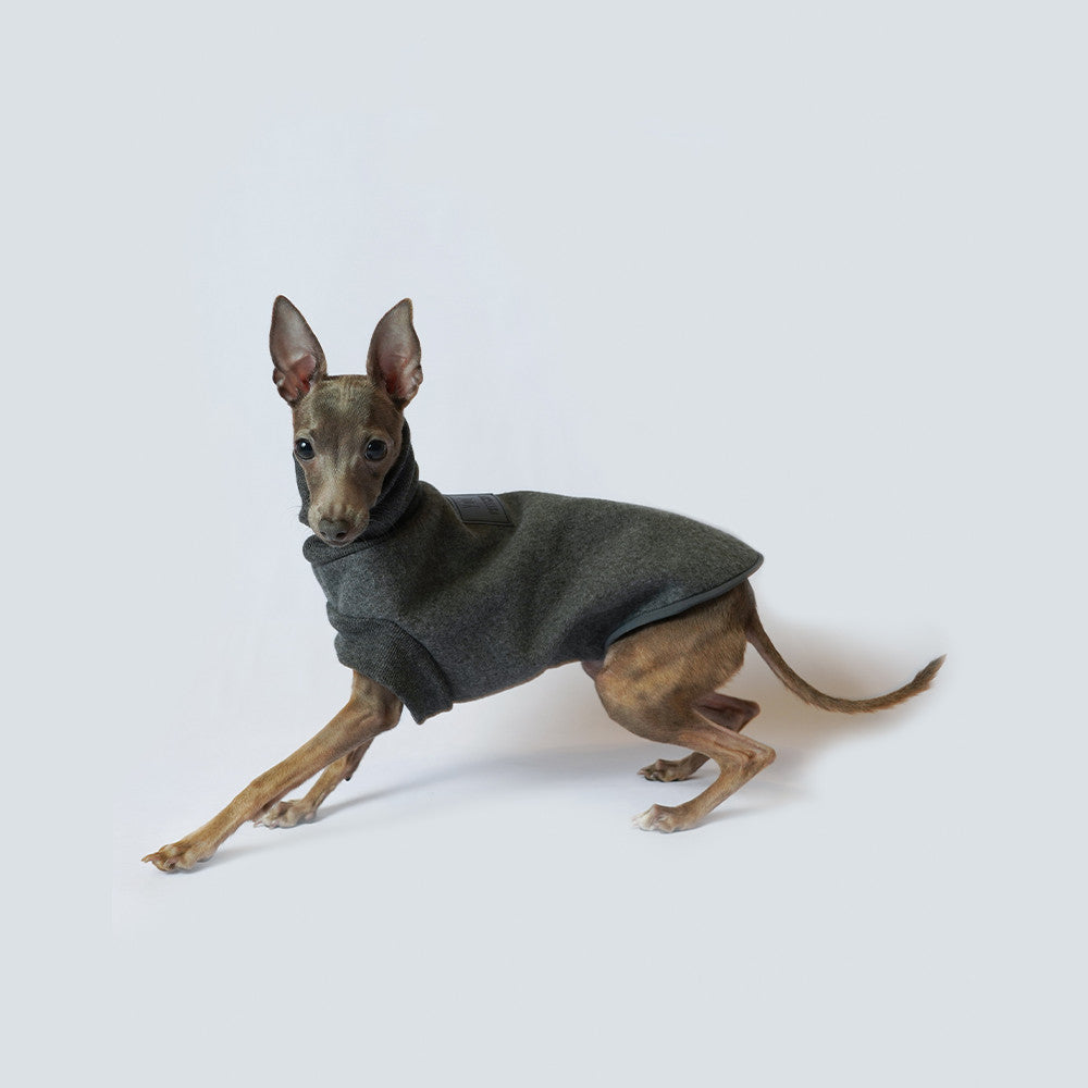 Dog Coat Autumn Winter Thickened Windproof