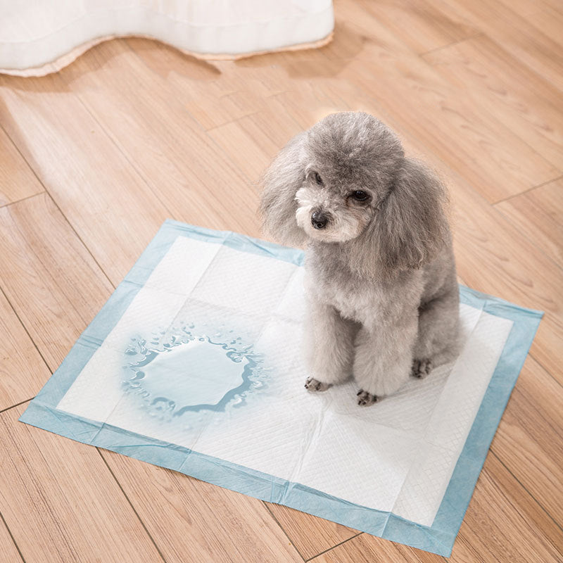 Large Wee Pads Heavy Duty Dog