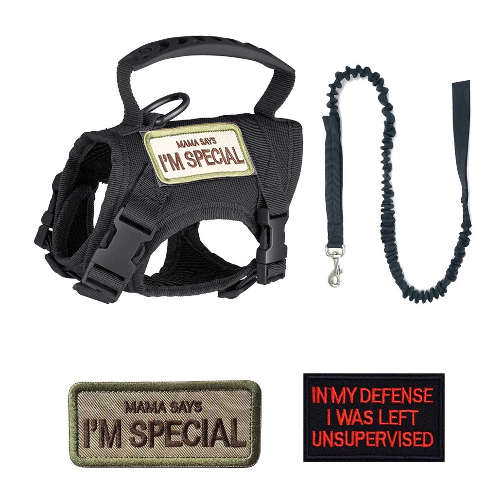 Anti-Breakaway Pet Traction Leash