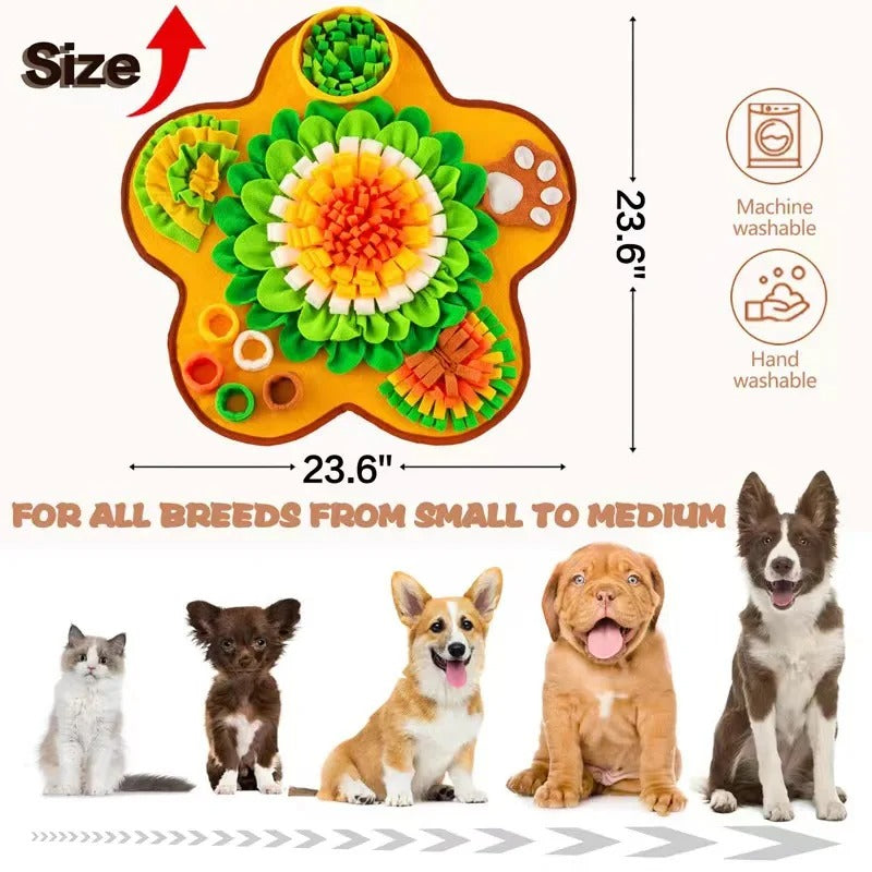 https://cf.cjdropshipping.com/quick/product/b5c3d331-cc65-459a-a101-2f175843ac3f.jpg