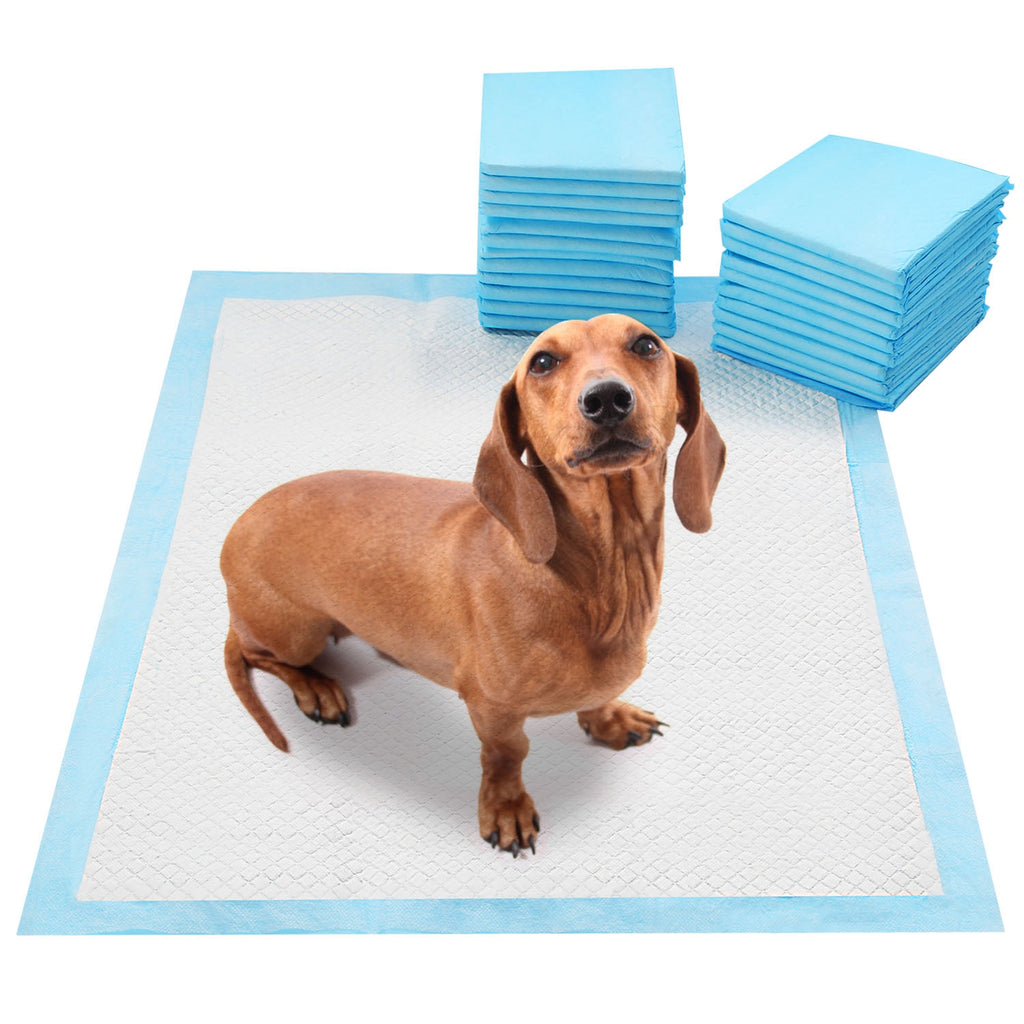 50pcs Per Set Dog Training Pads
