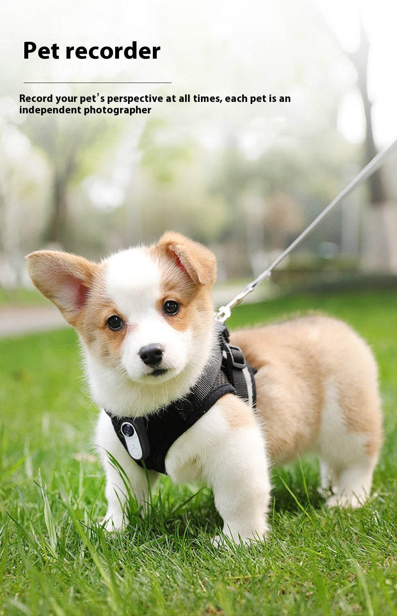 Hd Pet Thumb Camera Outdoor Sports