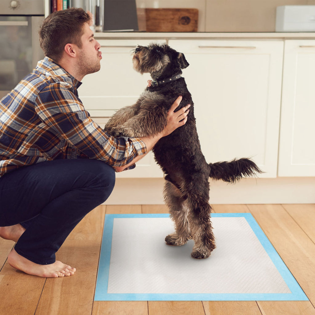 50pcs Per Set Dog Training Pads