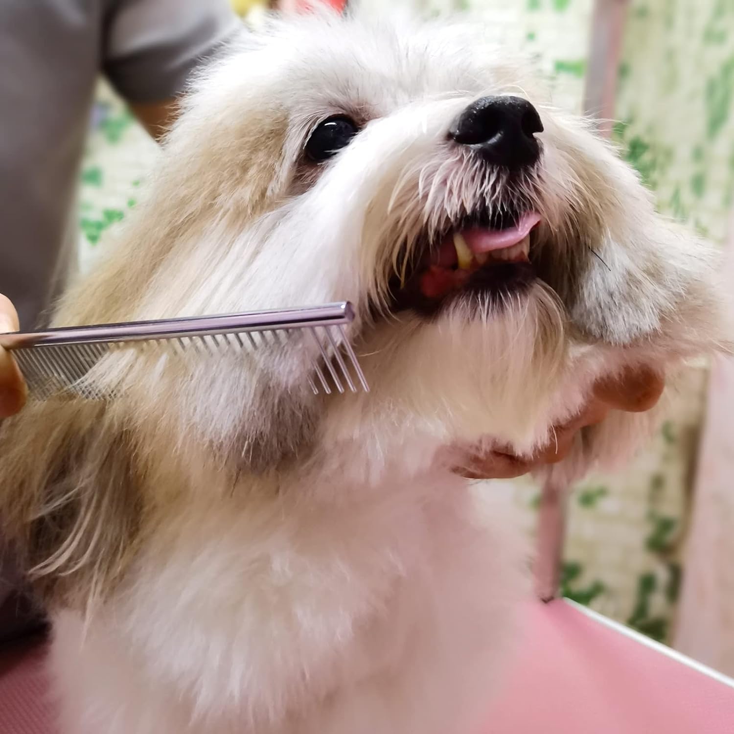 Dog Grooming Scissors