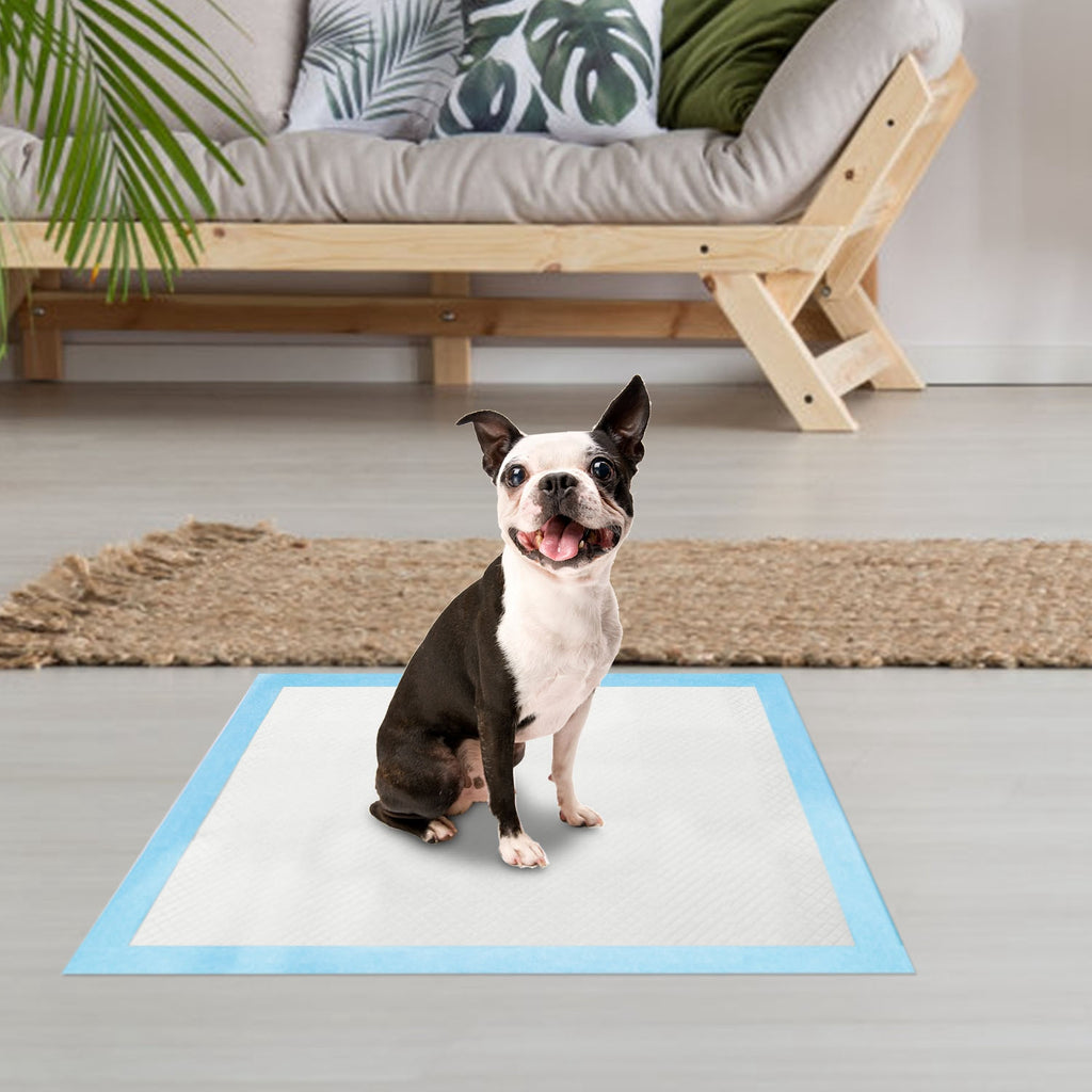 50pcs Per Set Dog Training Pads