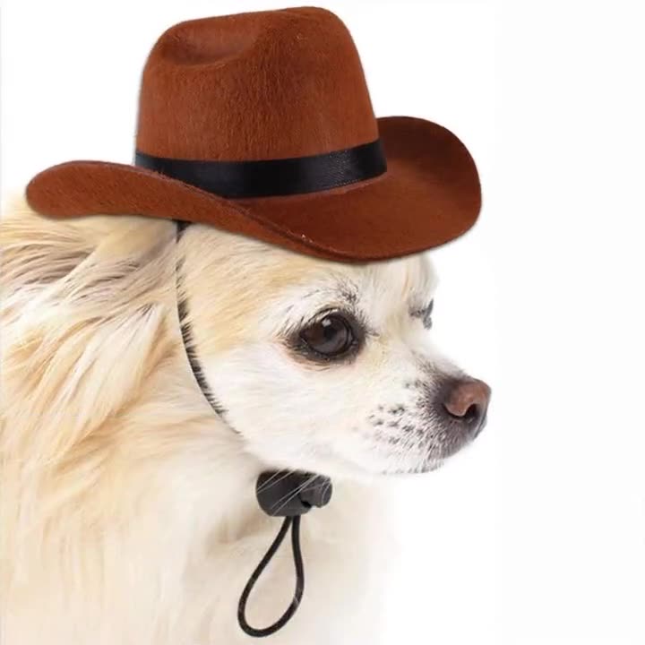 Pet Dog Cowboy Hat Headgear Cat