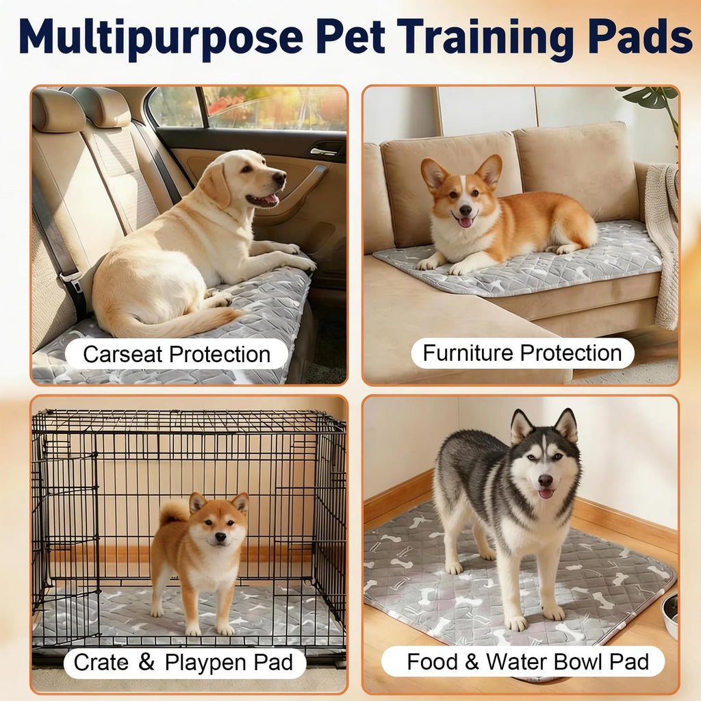 Training Dog Comfort Bed