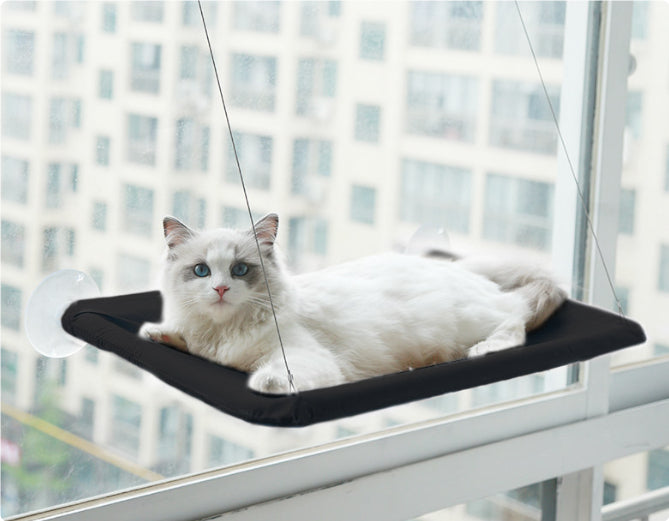 Cat Hammock Suction Cup Wall Mounted