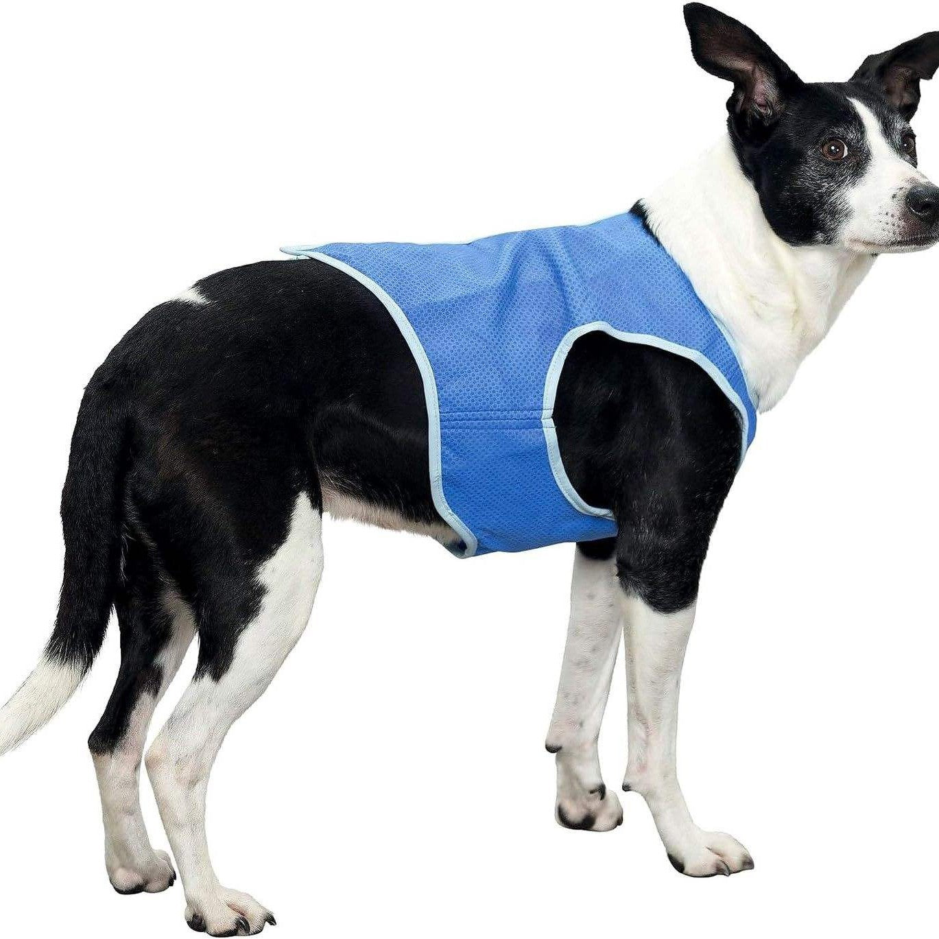 Sweat Absorbing Dog Vest Summer Cooling