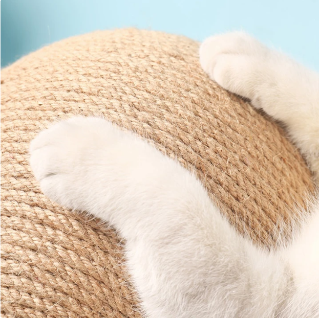 Climbing Frame Durable Cat Scratcher Toy