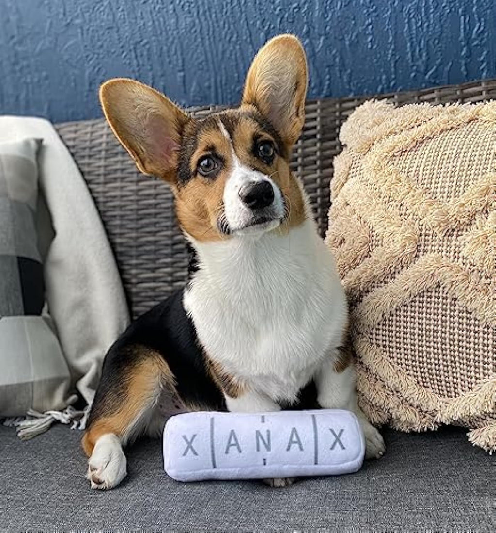 Plush Dog Enrichment Toy