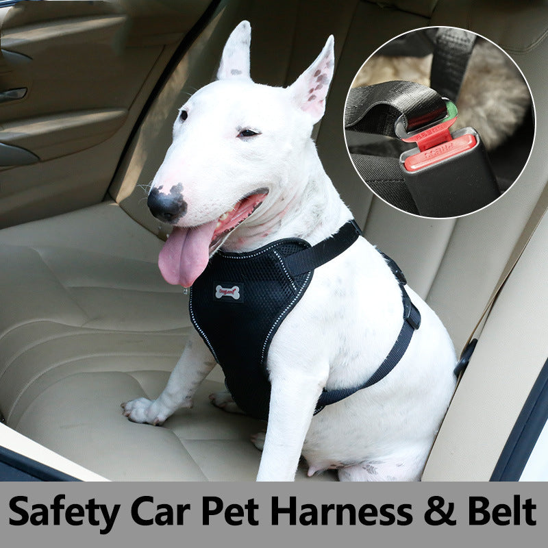 Comfortable Massage Car Pet Grooming Brush
