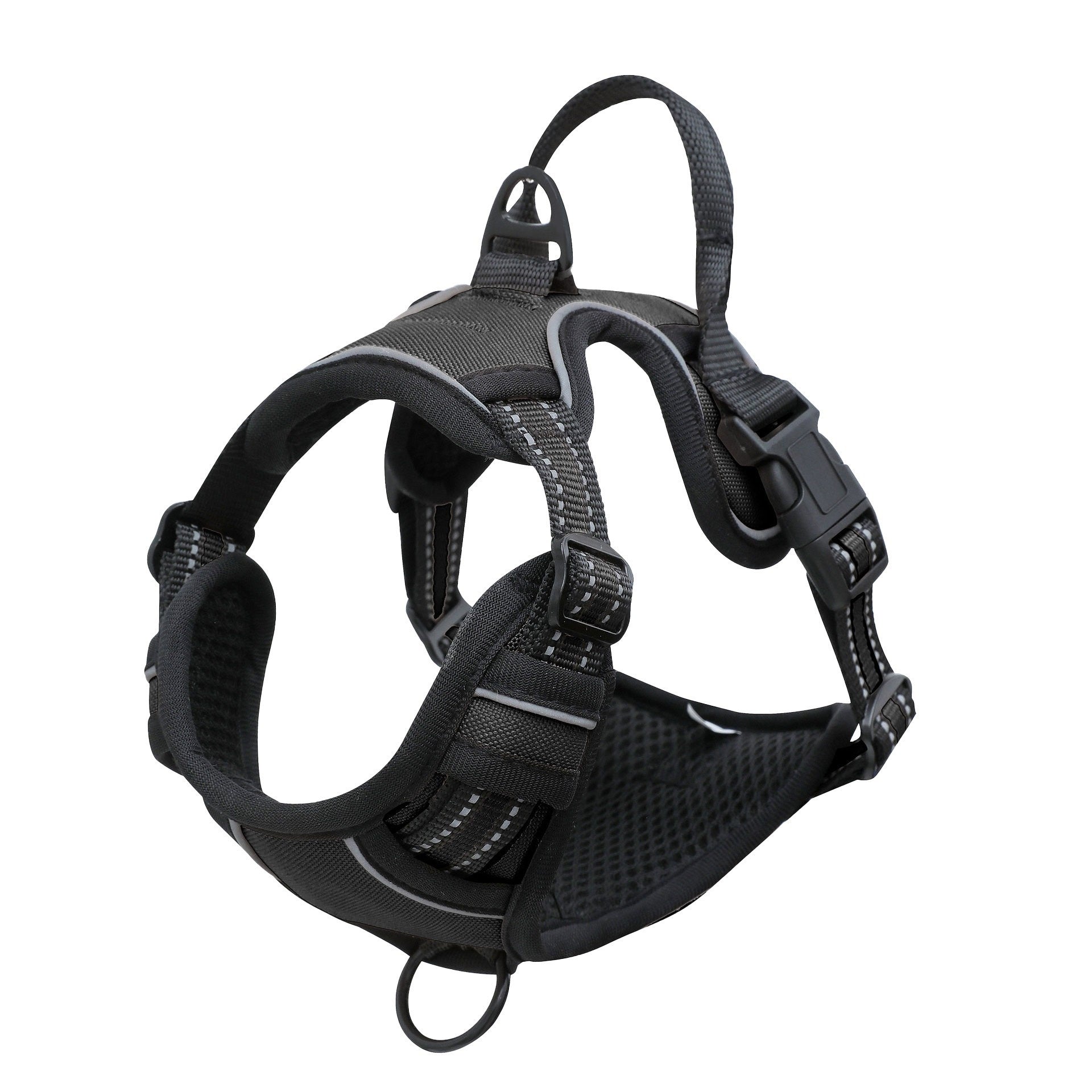 View Camera Recorder Adjustable Pet Collar