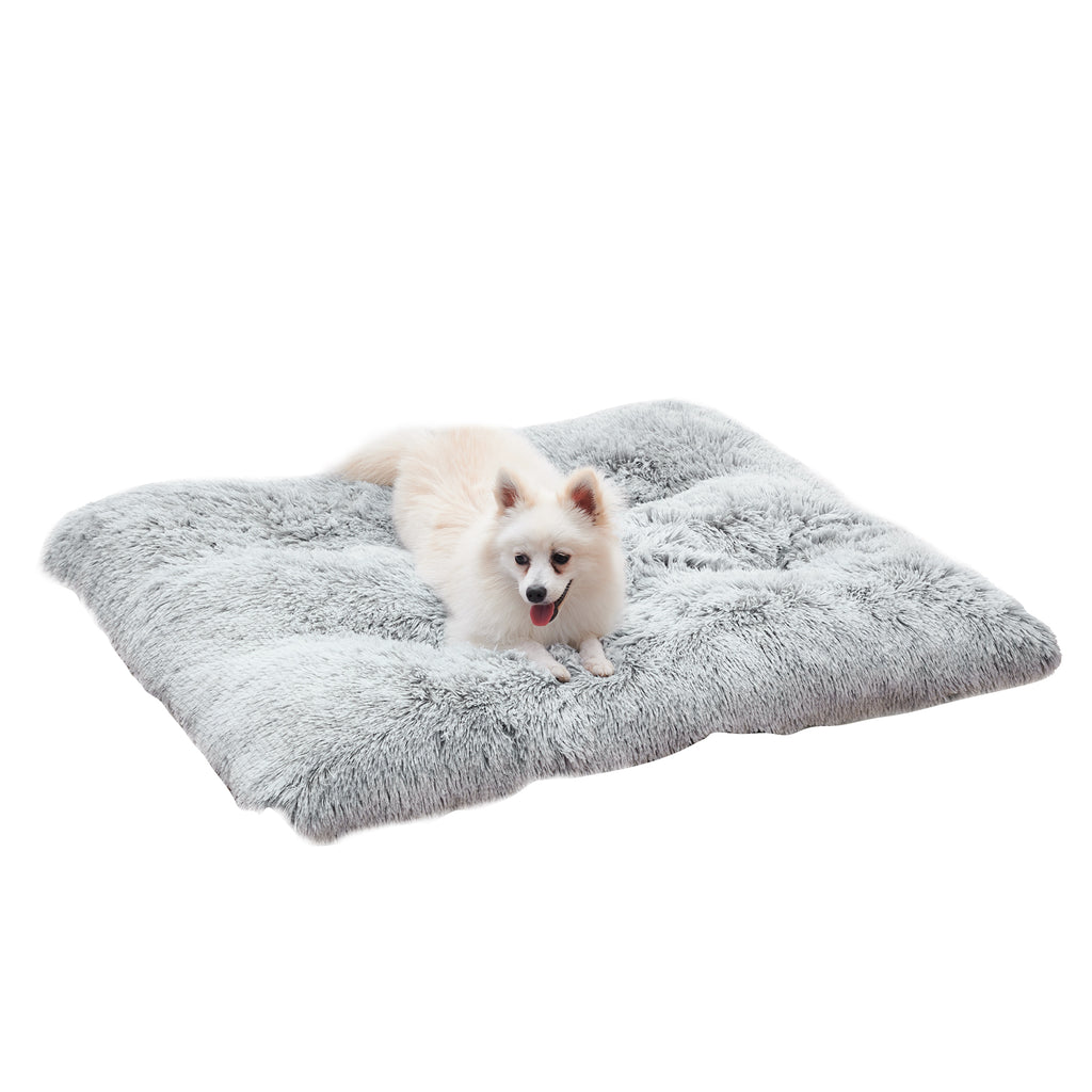 https://cf.cjdropshipping.com/edeeff33-6d16-45d5-9eaa-78a2b3095069.jpg