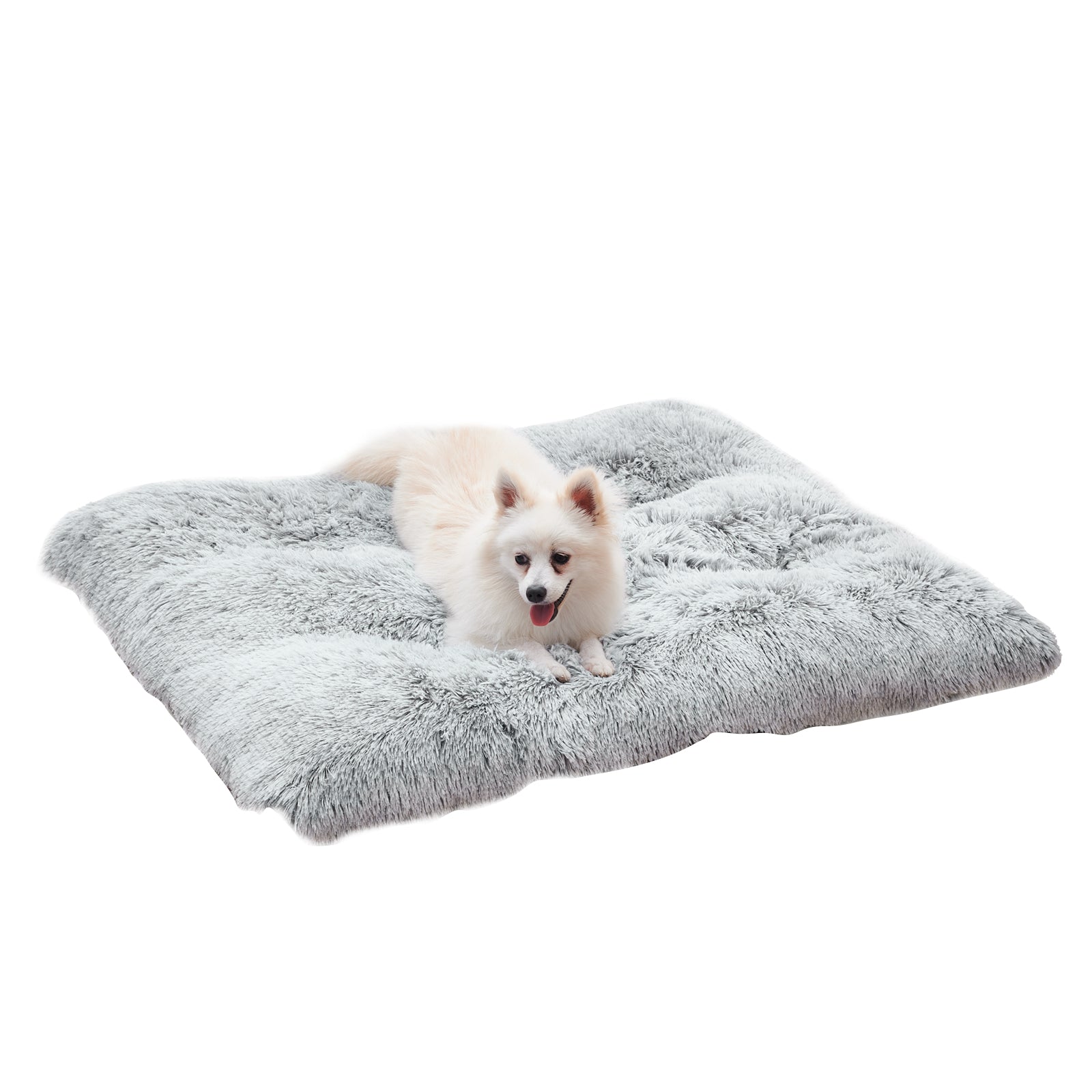 https://cf.cjdropshipping.com/edeeff33-6d16-45d5-9eaa-78a2b3095069.jpg
