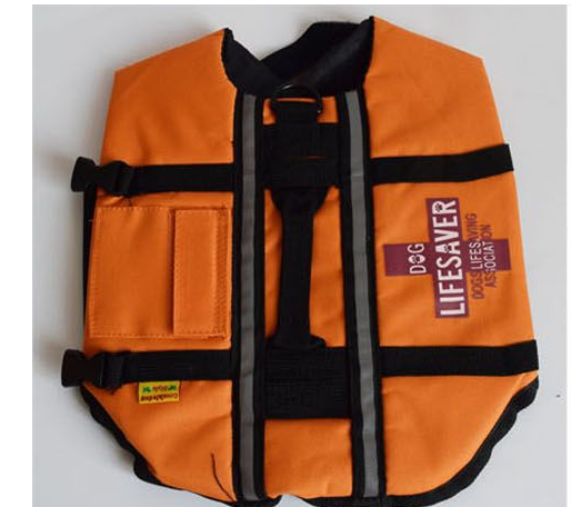 https://cf.cjdropshipping.com/f4ffd2de-e7d1-4e8b-ad85-79a305a71ced.png