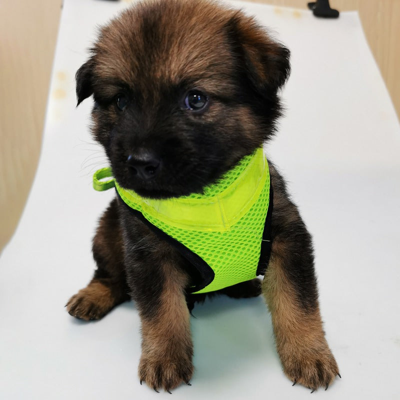 Pet Supplies Led Illuminated Dog Chest