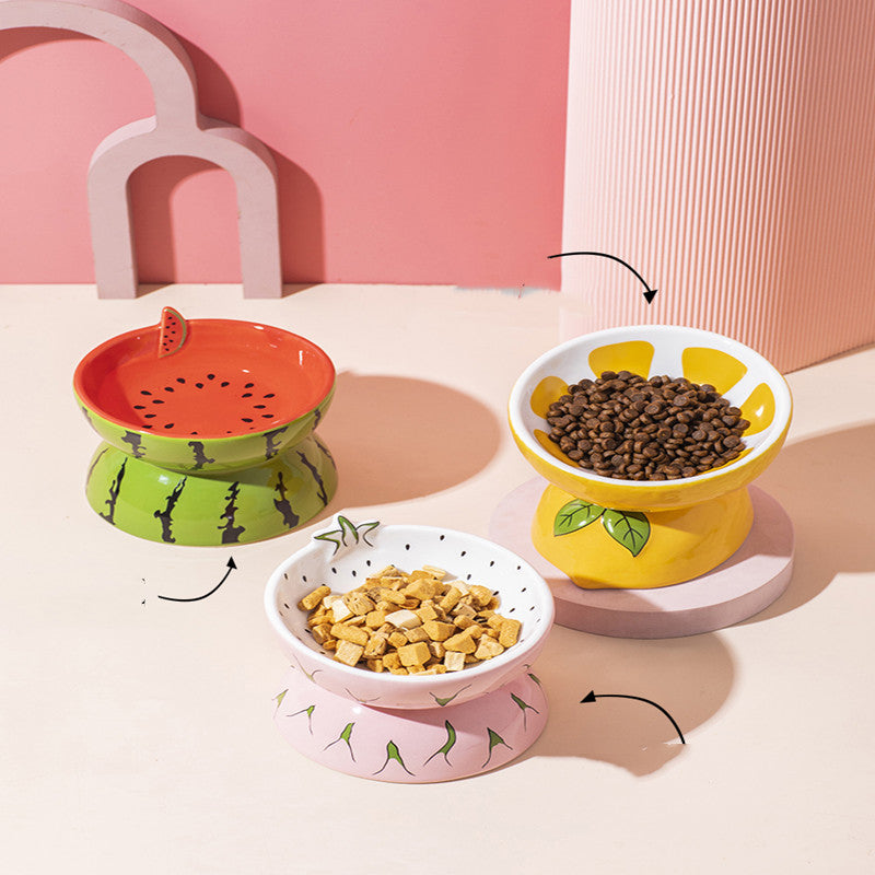 Cat Bowl Cerami Basin Protection Cervical